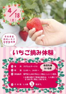 いちご摘み体験 @ 1Fすずらんサークル